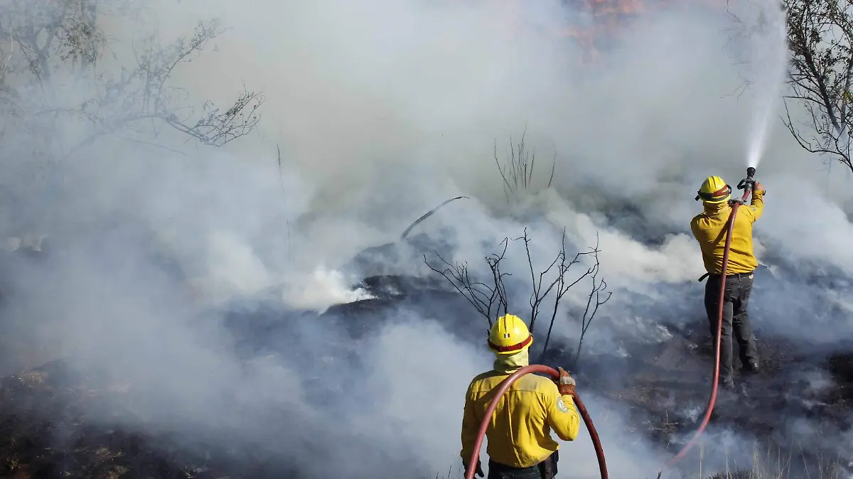 incendio forestal